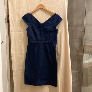 Navy Theory dress